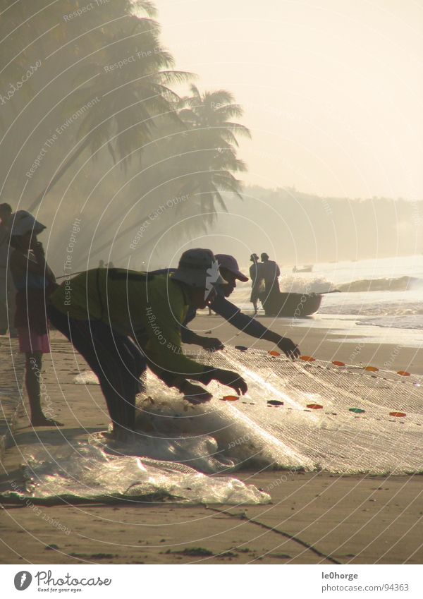 Small Fishing Asien Vietnam Strand Palme Mann Morgen Sonnenaufgang Arbeit & Erwerbstätigkeit Hochformat Dienstleistungsgewerbe Fisch fishing Netz