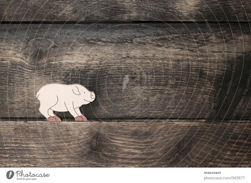 Schwein gehabt Ferkel Glück Symbole & Metaphern Glücksbringer Holz Hintergrundbild Tier Holzarbeiten dick Übergewicht Holzbrett