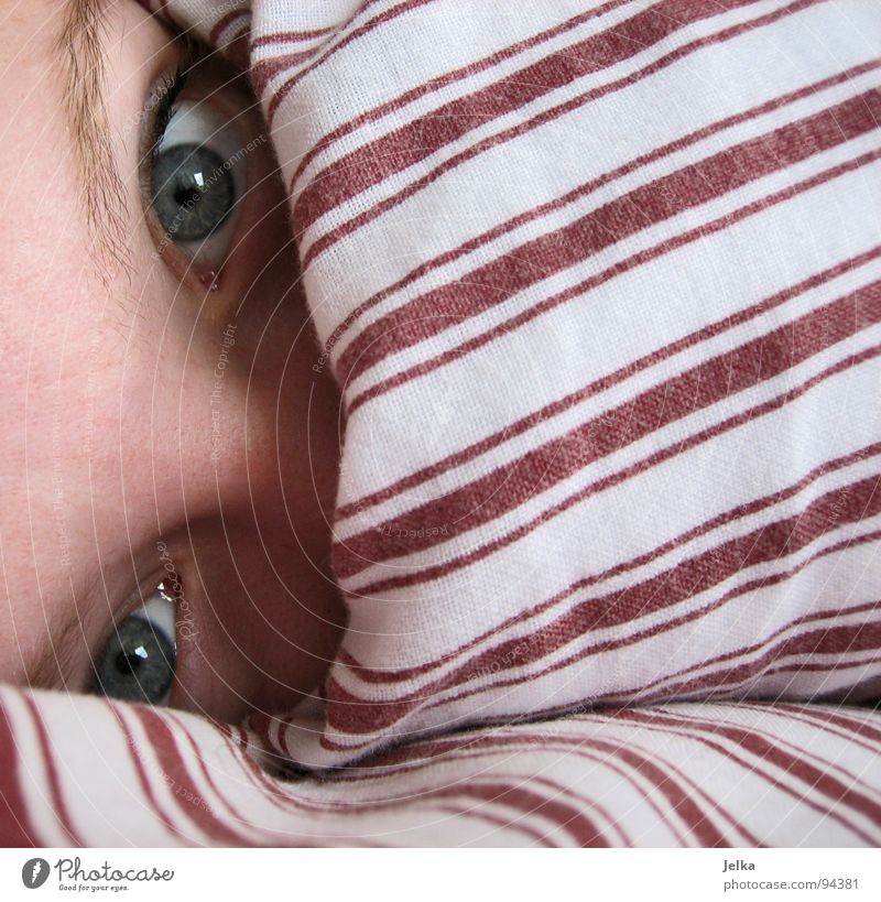 verschleiert geschlafen Gesicht Frau Erwachsene Auge Nase Streifen blau rot weiß Bettdecke Kissen Stirn Augenbraue gestreift sleeping Decke kopfkissen pillow