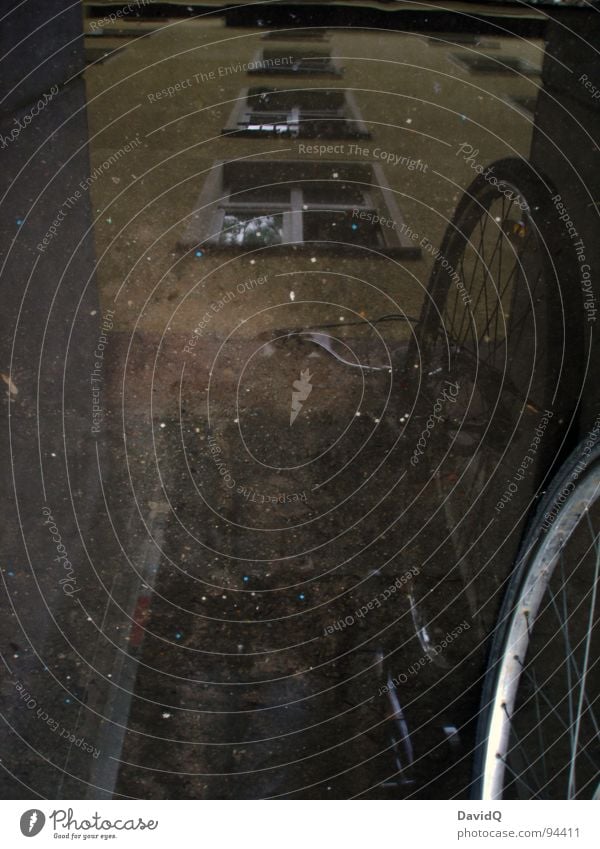 feuchter Keller Fahrrad Felge Pfütze Reflexion & Spiegelung Haus Wand nass dunkel Fahrradkeller Regen Überschwemmung nasse Füße Perspektive Pfützenbild