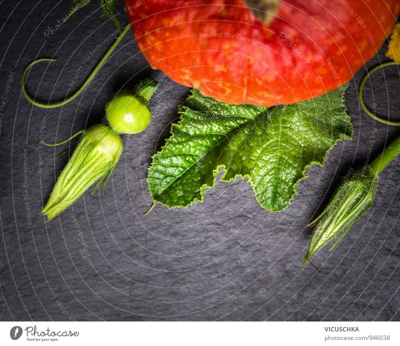 Kürbis Stengel, Blüten und Früchte auf Schiefer Lebensmittel Gemüse Ernährung Bioprodukte Vegetarische Ernährung Diät Stil Design Gesunde Ernährung