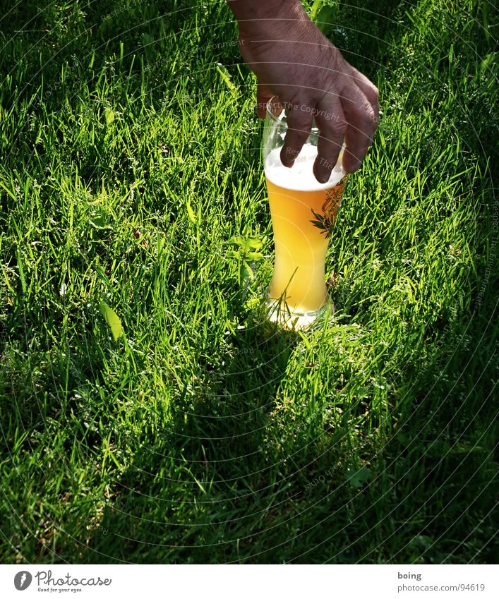 Engel trinken gelb – Alois Hingerl zupft auf der Bierwiese Griff fangen greifen Wiese Abendsonne Hand Waldarbeiter Hefe Weizen trüb hell Schaum Glas liegen