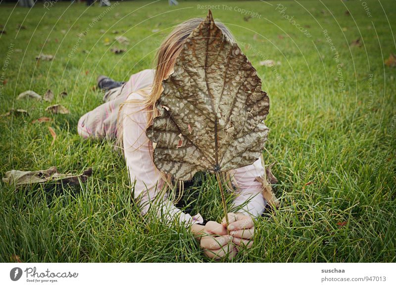 blatt vorm gesicht feminin Kind Mädchen Kindheit Körper Haut Haare & Frisuren Hand Finger 1 Mensch 8-13 Jahre Umwelt Natur Herbst Gras Blatt Wiese groß grün