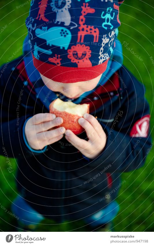 kind isst apfel Lebensmittel Frucht Apfel Picknick Bioprodukte Vegetarische Ernährung Diät Gesunde Ernährung Wohlgefühl Freizeit & Hobby Kindererziehung
