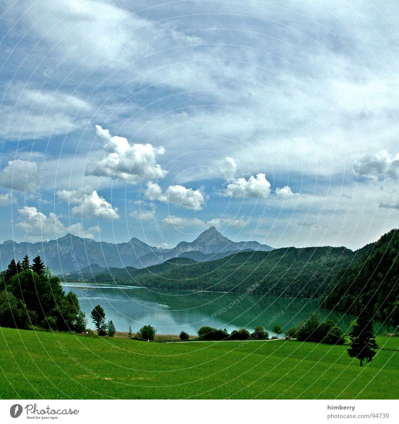 riviera royal XI Gras Sommer Naturgesetz Wiese grün Umwelt Wolken Wildnis Himmel Grünfläche Berge u. Gebirge Landschaft Pflanze Firmament