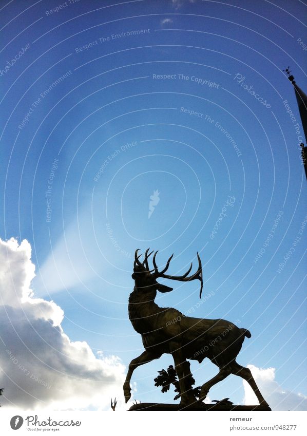 Hirsch im Licht Skulptur Tier Bonn Wildtier 1 Gefühle Stimmung Farbfoto Außenaufnahme Menschenleer Kontrast Sonnenlicht Sonnenstrahlen Sonnenaufgang