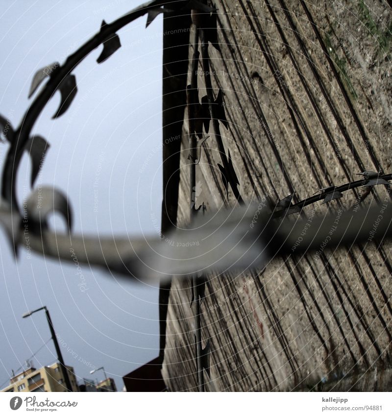 relikt Stacheldraht Draht Mauer Berliner Mauer Laterne Lampe Straßenbeleuchtung Todesstreifen Sperrzone Grenze Grenzsoldat Streifen Selbstschußanlage
