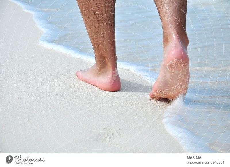 man takes a beach walk exotisch Erholung ruhig Ferien & Urlaub & Reisen Sommer Sonne Strand Meer Wellen Mensch Mann Erwachsene Natur Sand Wasser Behaarung