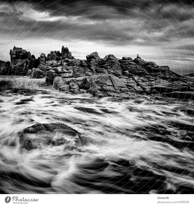 Wildwasser Natur Landschaft Wasser Himmel Wolken Wetter schlechtes Wetter Wind Sturm Wellen Küste Meer grau schwarz weiß Granit Cote de Granit Rose Atlantik