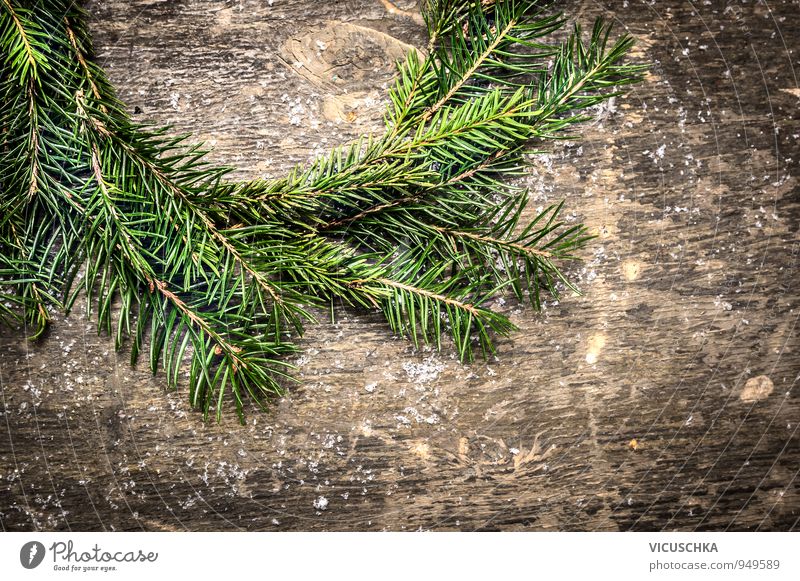 Tannenbaum Kranz. Design Weihnachten & Advent Natur Mauer Wand Holz Ornament retro grau grün Tradition Hintergrundbild horizontal Symbole & Metaphern Zweig