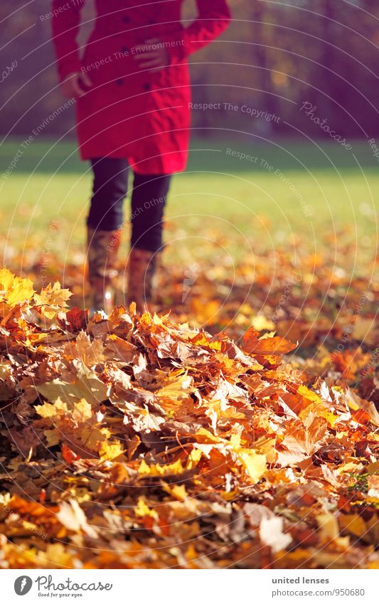 AK# Herbstruhe Kunst ästhetisch Zufriedenheit Blatt Laubwald herbstlich Herbstlaub Herbstfärbung Herbstbeginn Herbstwetter Herbstwald Herbstlandschaft