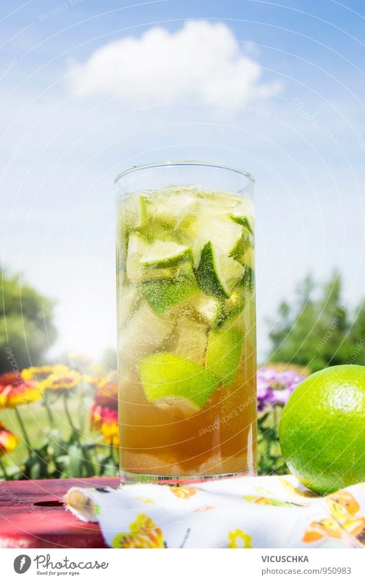 Eistee im Garten am Himmel Hintergrund Lebensmittel Frucht Ernährung Getränk Erfrischungsgetränk Limonade Alkohol Sekt Prosecco Glas Lifestyle Design