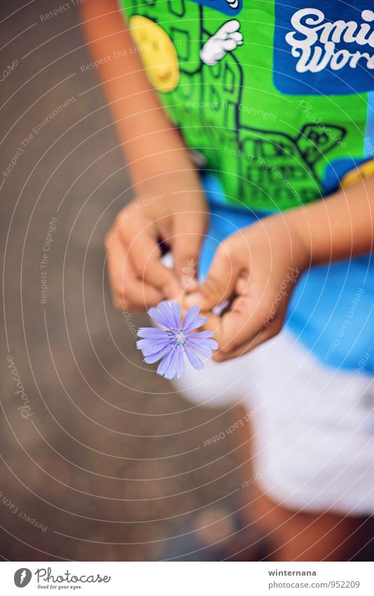 LÄCHELN! Kind Junge Hand Finger 1 Mensch 3-8 Jahre Kindheit T-Shirt Glück Macht Geborgenheit Warmherzigkeit Liebe Duft Erholung Gelassenheit Farbfoto