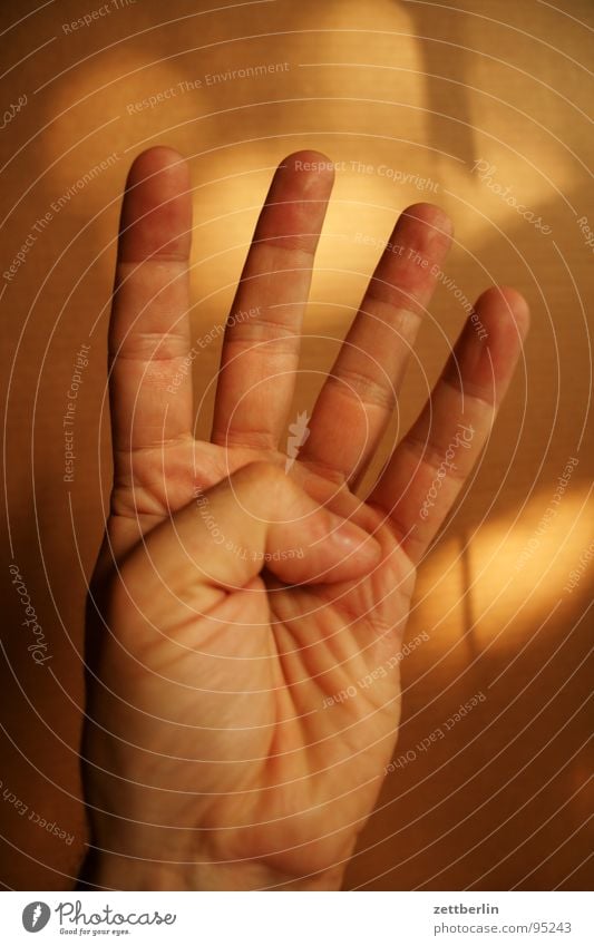 Vier 4 Finger Zeigefinger Mittelfinger Ringfinger Daumen Faust Konzentration zählen gestikulieren Mensch kleiner finger Pflaume numerieren Körperteile Stadtteil