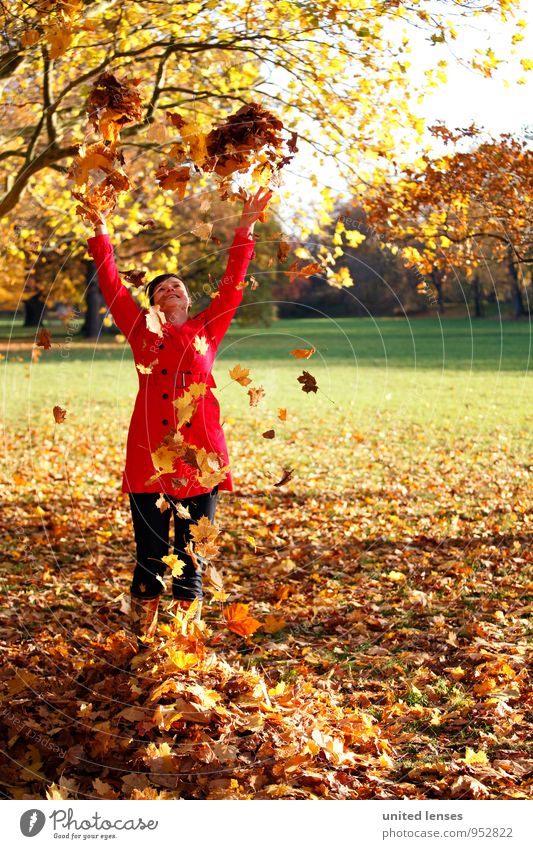 AK# Herbstfreude Kunst ästhetisch Zufriedenheit Freude spaßig herbstlich Herbstlaub Herbstfärbung Herbstbeginn Herbstwetter Herbstwald Herbstlandschaft