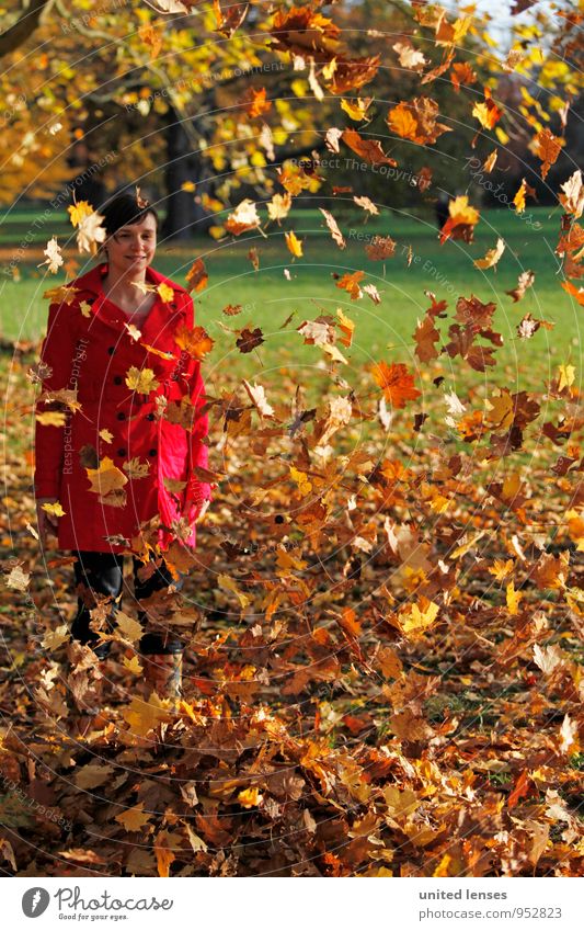 AK# Herbstregen Kunst ästhetisch Zufriedenheit Blatt Laubbaum Laubwald blätternd herbstlich Herbstlaub Herbstfärbung Herbstbeginn Herbstwetter Herbstwald