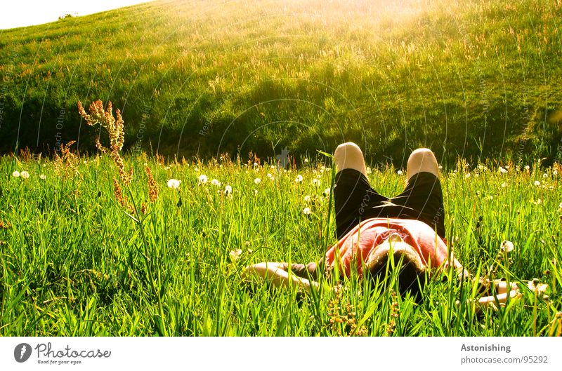 enjoy the sun Erholung Sommer Sonne Mensch maskulin Arme Beine 1 Umwelt Natur Landschaft Pflanze Wetter Schönes Wetter Wärme Gras Wiese Hügel genießen liegen