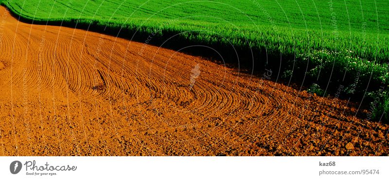 Feld grün braun Landwirtschaft Weizen rot Grenze Hintergrundbild Agra Rohstoffe & Kraftstoffe Umwelt Arbeit & Erwerbstätigkeit Wege & Pfade Spuren Erde Natur