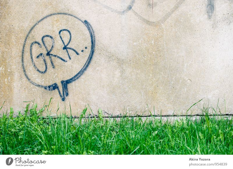 Grr.. Gras Wiese Mauer Wand Schriftzeichen bedrohlich frisch Stadt grau grün schwarz gefährlich gereizt Feindseligkeit Aggression Farbfoto Außenaufnahme
