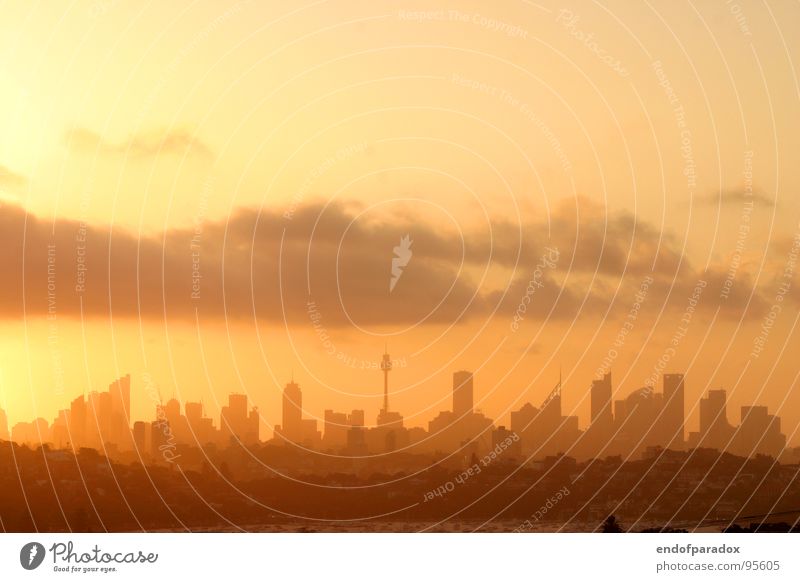 sydney Stadt Australien Sydney Sonnenuntergang Sommer Hochhaus Himmel Ferien & Urlaub & Reisen Dämmerung Wolken Fernweh Physik Skyline oz dusk cloud sky orange