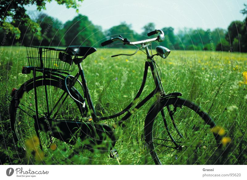 ....aufgebockt Fahrrad Wiese grün Niederlande Fahrradtour Pause Park Radrennen Fahrradkette Fahrradausstattung aufbocken Ferien & Urlaub & Reisen