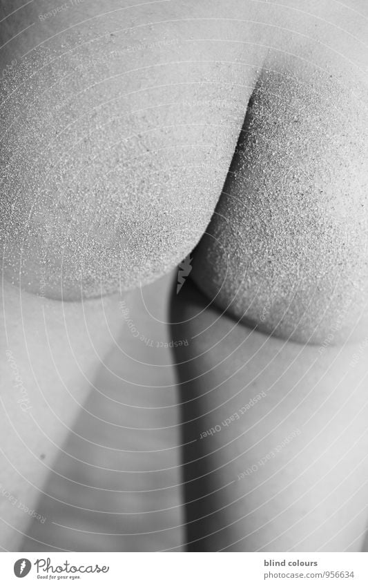 arénacée Kunst ästhetisch Erotik Sexappeal Sexobjekt Sexuelle Neigung Gesäß Sand Strand nackt Weiblicher Akt Nackte Haut Frau Frauenkörper verführerisch