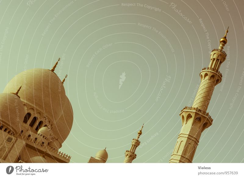 Scheich-Zayid-Moschee Hauptstadt Bauwerk Gebäude Architektur Sehenswürdigkeit Wahrzeichen ästhetisch außergewöhnlich Bekanntheit Allah