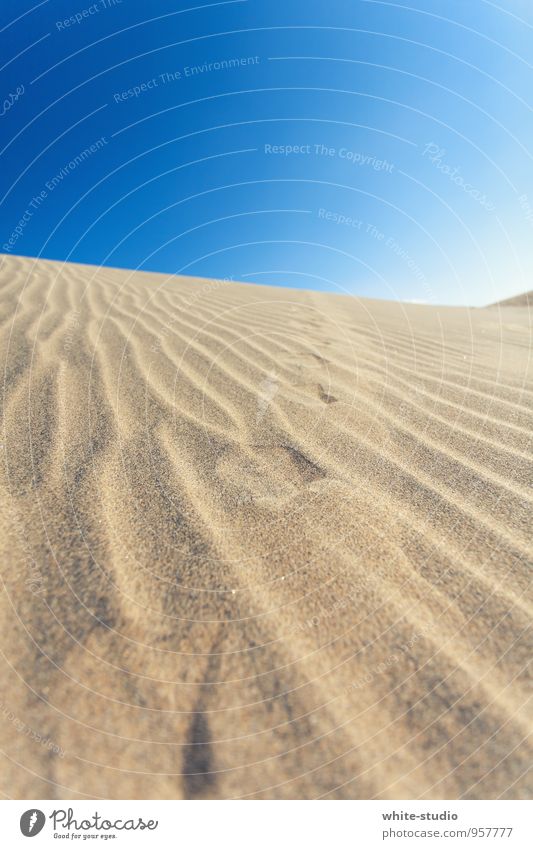 Vom Winde verweht Sand heiß Fußspur Stranddüne Wüste Sandverwehung Spuren spurenlesen Furche Sandstrand Dürre trocken Sommerurlaub Warmherzigkeit