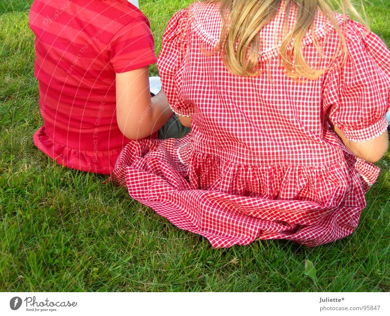 typisch Mädchen Kind 2 rosa rot Kleid Wiese Zusammensein Denken Sommer Kleinkind sitzen
