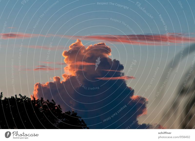 Cumulus Congestus für Mädchen Umwelt Himmel Wolken Gewitterwolken Sonnenaufgang Sonnenuntergang Klima Klimawandel Wetter Schönes Wetter schlechtes Wetter