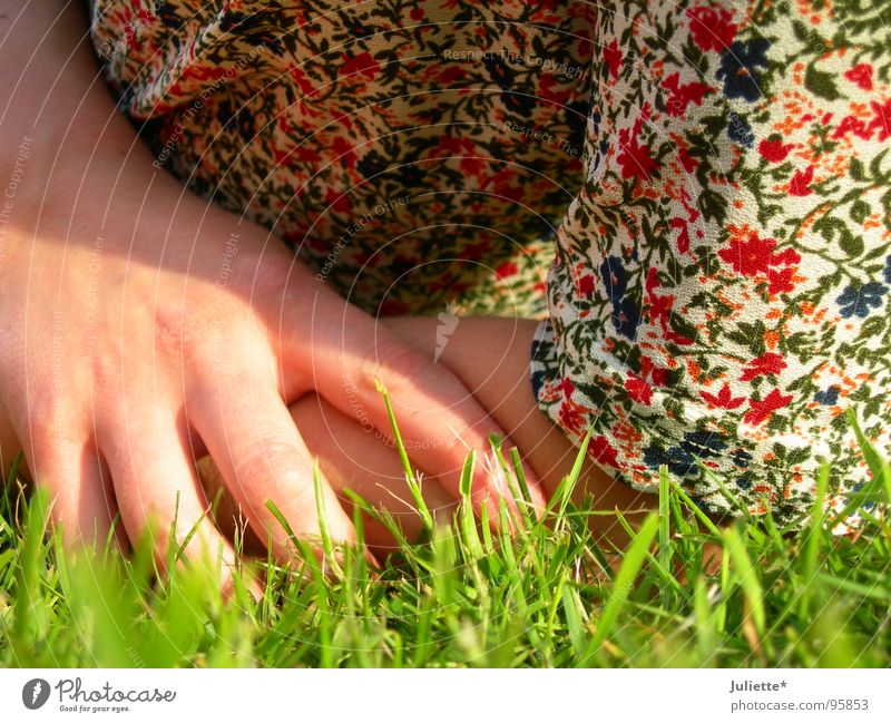 Im Gras Wiese mehrfarbig Hand Erholung Blume Farbe bunte farben Zufriedenheit
