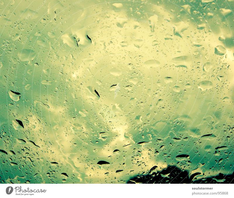 überrascht... Wolken Fenster Autofenster Fensterscheibe Regen Sturm Baum schwarz weiß gelb grün grün-gelb nass eng gefährlich Gewitterregen Wasser Angst Panik