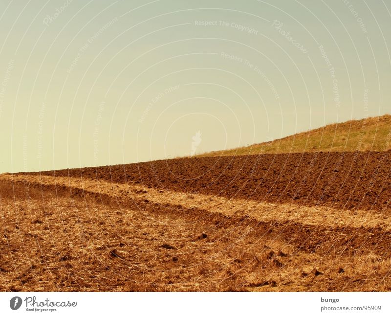 Mach dich vom Acker Feld Wiese Aussaat Saatgut Landwirtschaft pflügen Ackerbau Erde Sand Bodenbelag anfplanzen Ernte gefplügt