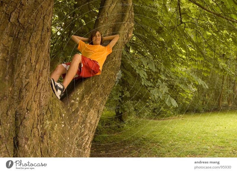 Abhängen in freier Natur Erholung ruhen ruhig Baum Park Wald Sträucher genießen Wiese Waldlichtung grün rot Jugendliche boy silent chilling relaxing tree oben