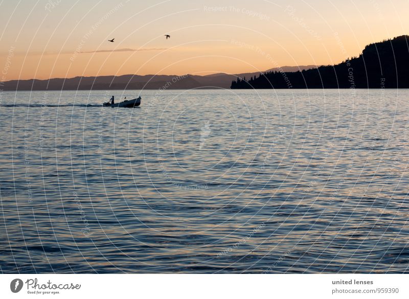 DR# Italian Trip Kunst ästhetisch Zufriedenheit See Gardasee Italien Romantik verträumt Idylle friedlich Wasserfahrzeug Bootsfahrt Süden