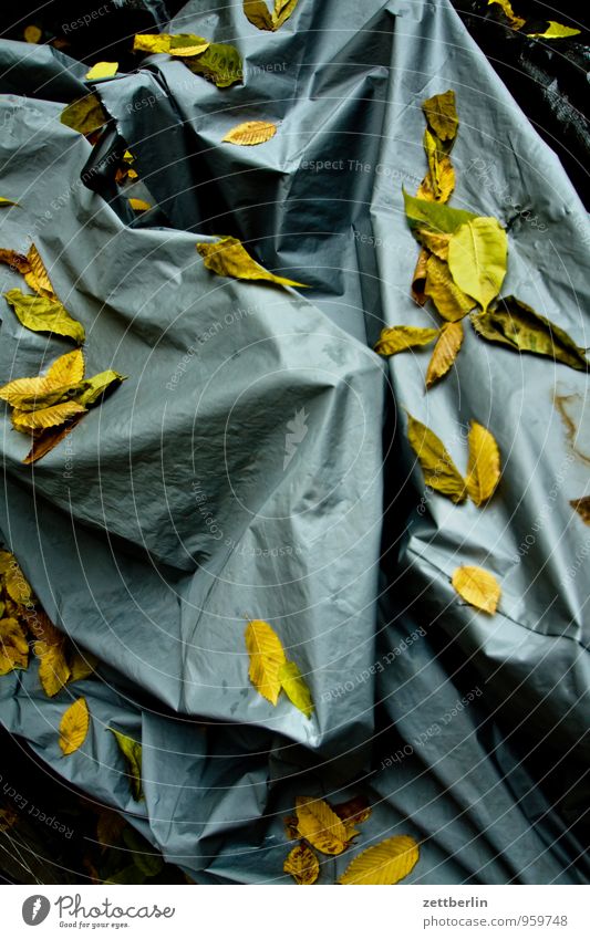 Fahrradverhüllung Herbst Blatt Herbstlaub Ausfall laublos Abdeckung bedeckt Decke zudecken Schutz winterfest Winterstimmung Winterpause Winterschlaf Kunststoff