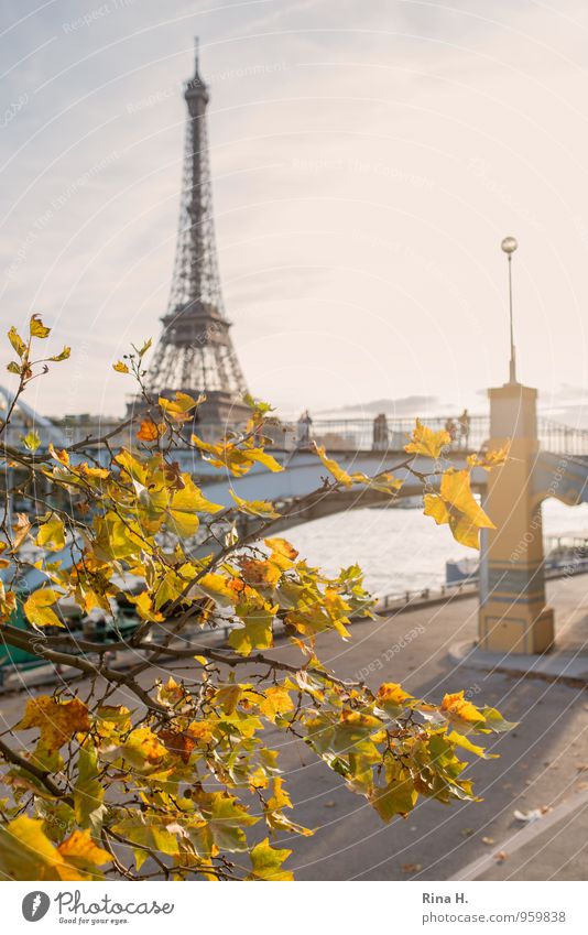 Paris im Herbst II Ferien & Urlaub & Reisen Tourismus Ausflug Sightseeing Städtereise Mensch Menschengruppe Schönes Wetter Baum Bekanntheit Lebensfreude