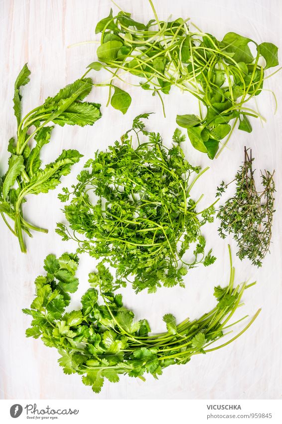 Frische Grüne Kräuter on weißem Holztisch Lebensmittel Gemüse Salat Salatbeilage Kräuter & Gewürze Ernährung Bioprodukte Vegetarische Ernährung Diät Stil Design