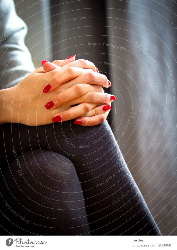 Konversation elegant Stil schön Nagellack harmonisch Junge Frau Jugendliche Hand Finger Beine 1 Mensch 18-30 Jahre Erwachsene Strumpfhose sitzen ästhetisch