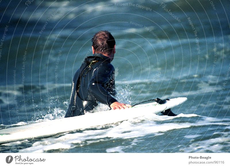 Sportlich Surfen Wassersport Surfbrett Surfer Neopren Neoprenanzug Meerwasser Wellen See Brandung nass kalt Spielen Funsport sportlich Holzbrett Surfanzug Wind