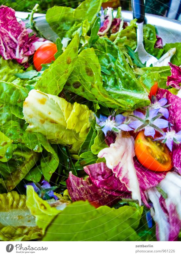 Salat Ernte Garten Gemüse Frucht Pflanze Tomate Salatbeilage Borretsch Feldsalat Salatbesteck Gesunde Ernährung Speise Essen Foodfotografie