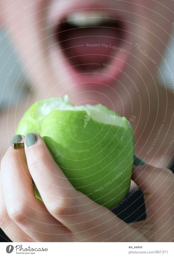 An apple a day ... Frucht Apfel Granny Smith Ernährung Essen Bioprodukte Vegetarische Ernährung Diät Fasten Lifestyle Freude schön Gesundheit Gesundheitswesen