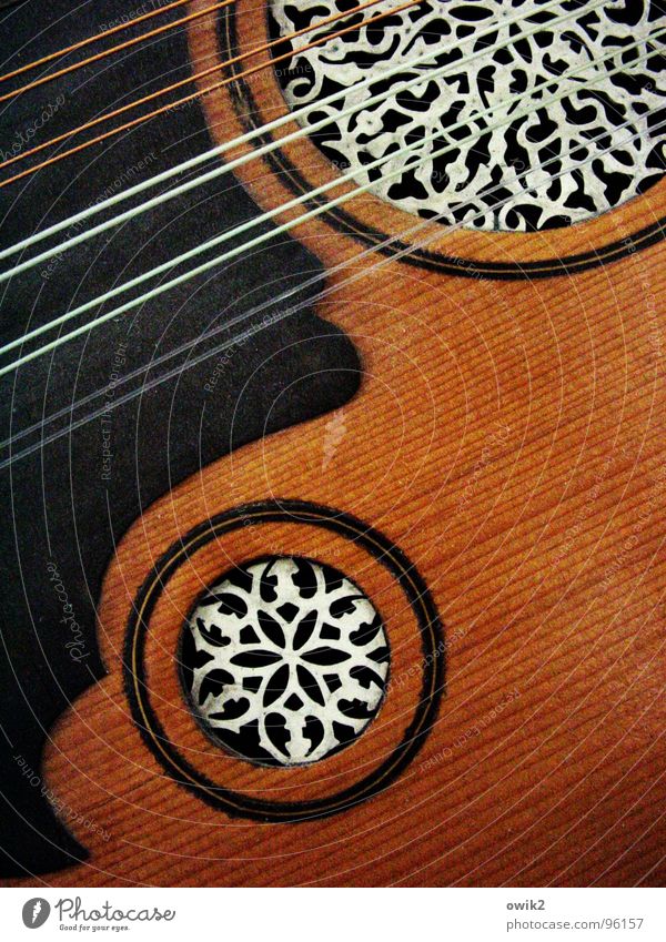 Arabische Laute elegant Stil Design exotisch schön Musik Kunst Kultur Musikinstrument Ton Holz Kunststoff Ornament Arabesken fantastisch nah harmonisch
