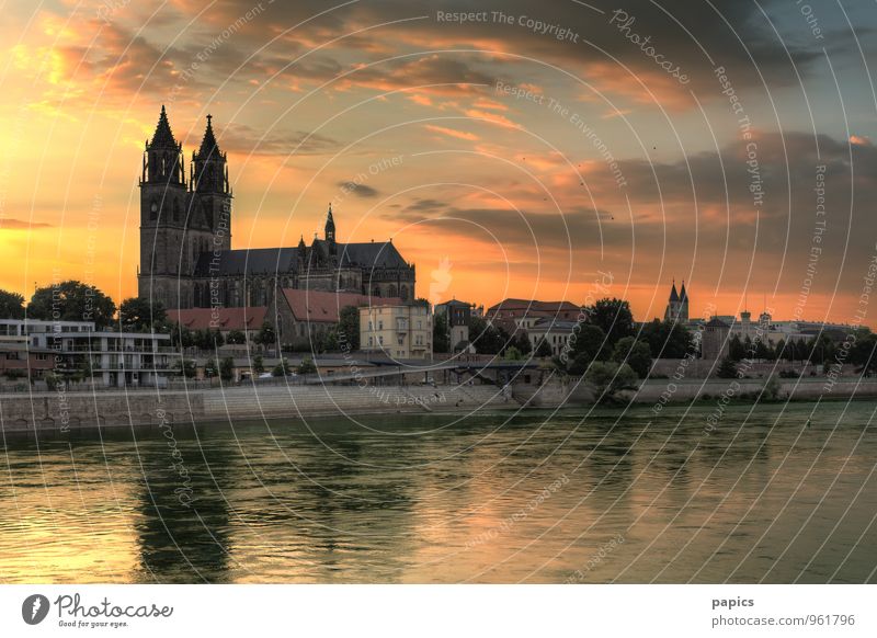 Magdeburger Dom im Abendlicht Wasser Himmel Wolken Sonne Sonnenaufgang Sonnenuntergang Sonnenlicht Sommer Schönes Wetter Baum Flussufer Hauptstadt Altstadt
