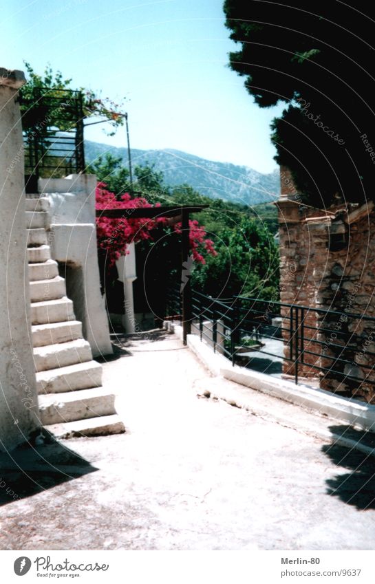Altes Kloster auf Kreta Blume grün Europa weiße Treppe Sonne Schönes Wetter