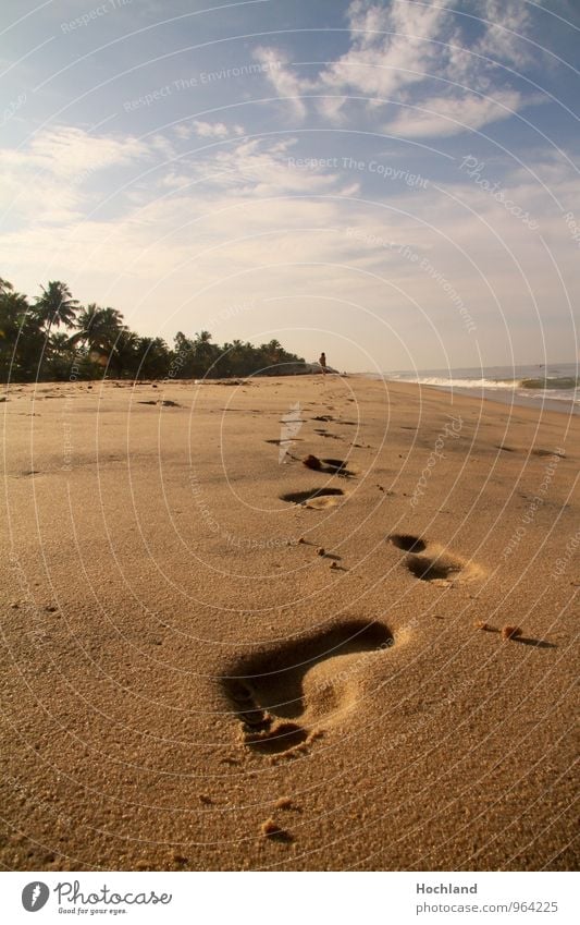 Spuren im Sand am Strand Natur Landschaft Wasser Wolken Sonnenlicht Schönes Wetter Küste Menschenleer Freude Gelassenheit ruhig Sehnsucht Einsamkeit Freiheit