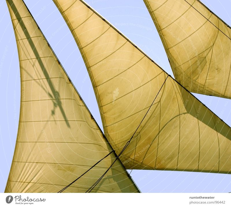 Volle Fahrt voraus! Segelschiff Wasserfahrzeug Kunst Meer unterwegs Fernweh Segeln Ausflug Navigationssystem Luv Sport Ostsee Freiheit segel setzen volle Fahrt