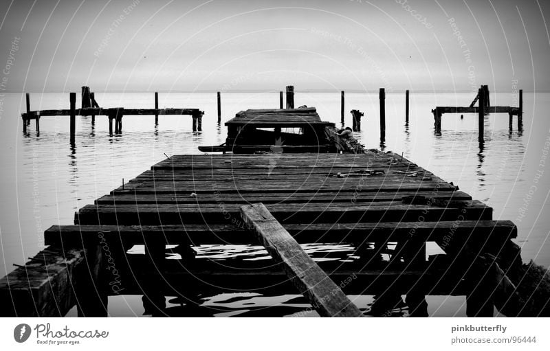 Auf den Spuren der Vergänglichkeit II See Meer Steg Anlegestelle Küste schwarz weiß Nebel Meeresspiegel Holz kaputt gebrochen Wasserspiegelung verfallen