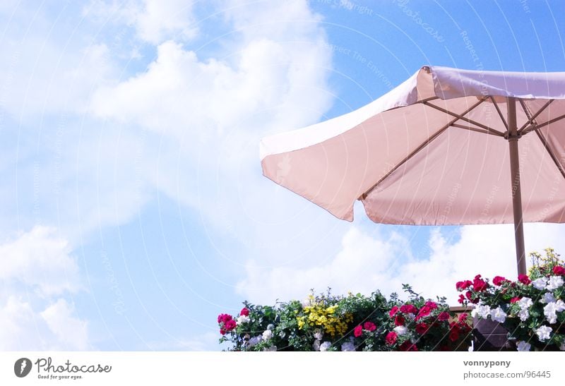 Gut geschützt Blume Sonnenschirm mehrfarbig Balkon weiß Physik Sommer Wolken Bauernhof Ferien & Urlaub & Reisen Wochenende Franken Himmel blau Schutz oben Wärme