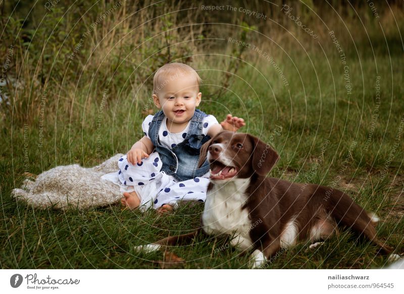 Mädchen mit dem Hund Mensch feminin Baby Kleinkind 0-12 Monate 1-3 Jahre Sommer Garten Wiese Bekleidung Kleid Tier Haustier berühren entdecken Kommunizieren